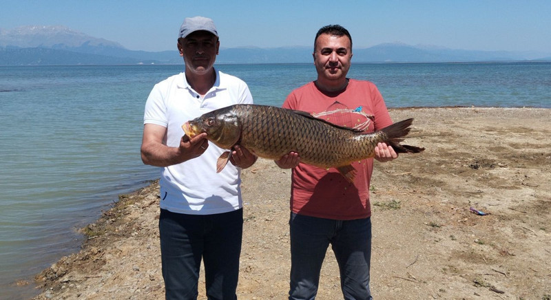 Konya'da amatör balıkçıların ağına takıldı. En son 11 yıl önce çıkmıştı balıkçılar görünce kaçmasın diye hemen su ile bağlantısını kesti - Resim: 3
