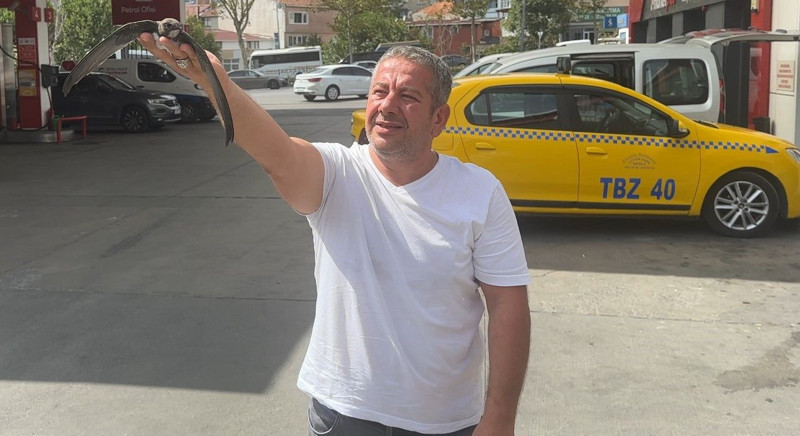 İstanbul'da bitkin düşen hayvanı arabanın altından hiç düşünmeden kurtardı! Taksicinin hareketi takdir topladı - Resim: 2