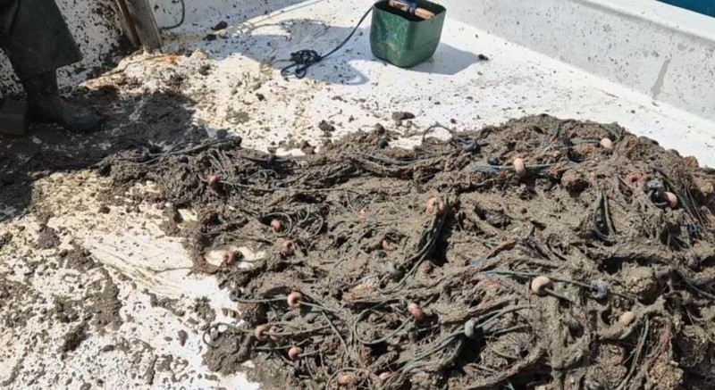 Marmara'da büyük kabus! Balıkçılar ağ attı 1 dakika içinden oltadan Türkiye için korkunç gerçek çıktı - Resim: 2