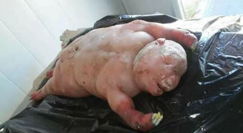Hamile koyununa çiftlikte son 1 kez bakmaya giden çiftçi, koyunun doğurduğu yavruyu görünce resmen kriz geçirdi. Köylü gelince hemen siyah poşete koydular - Resim: 5