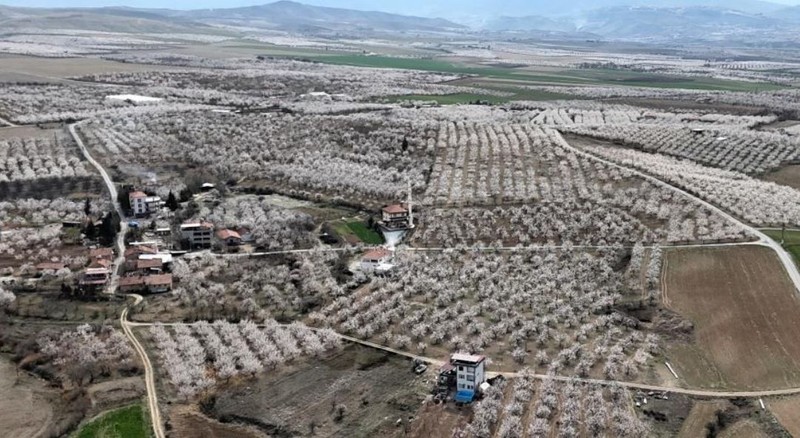 Malatya 22 derecelik havada beyaz gelinliğini giydi... Her taraf bembeyazla kaplandı. Ortaya müthiş bir manzara çıktı - Resim: 3