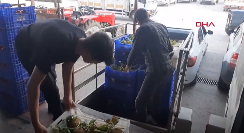 Kış mevsiminde olmaz dediler, yaptı oldu! Antalyalı bir çiftçi, sebze meyve halindeki tüccarları bile şaşkına çevirdi - Resim: 6