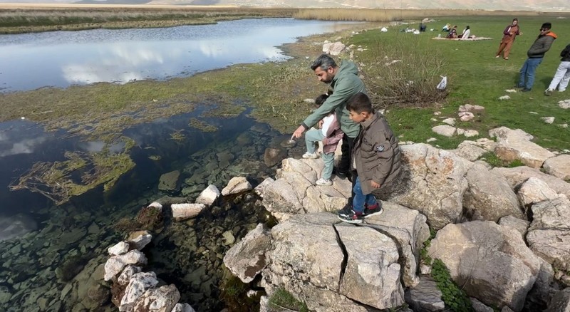 Hakkari'nin Yüksekova ilçe merkezine 20 kilometre uzaklıkta bulunan bölgede fışkırmaya başladılar. Yakında Türkiye'de her yer olacaklar - Resim: 5