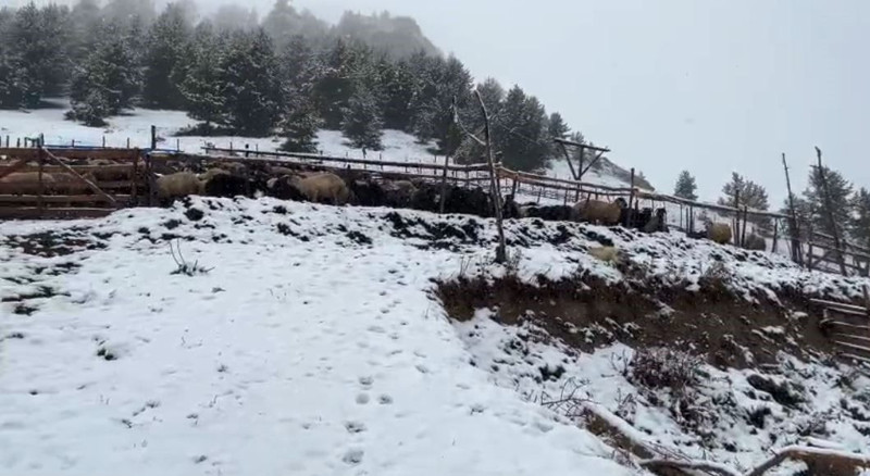 Karadeniz’de kış havası etkisini gösterdi! Artvin’in 1850 rakımlı yaylası beyaza büründü - Resim: 2