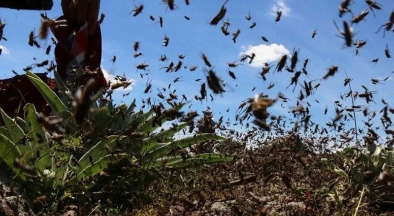 Türkiye'ye Trakya üzerinden 1000'lercesi patır patır sınırdan giriş yapmaya başladı.... 1000'lercesine karşı acil önlem çağrısı - Resim: 5