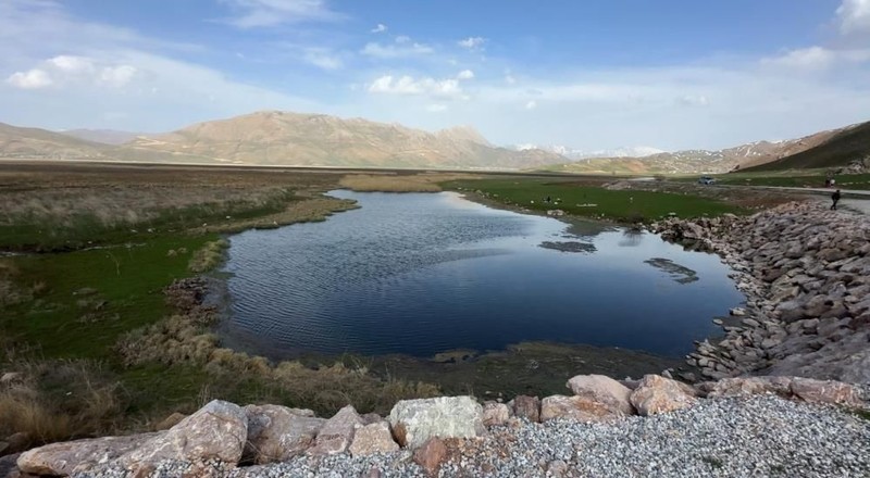 Hakkari'nin Yüksekova ilçe merkezine 20 kilometre uzaklıkta bulunan bölgede fışkırmaya başladılar. Yakında Türkiye'de her yer olacaklar - Resim: 1