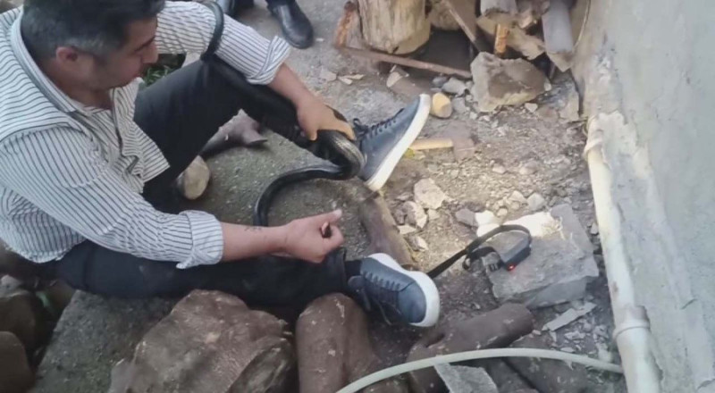 Hatay'da herkesin yaklaşmaya korktuğu deliğe gözünü kırpmadan gitti! 2 tanesini oradan çekip aldı - Resim: 3