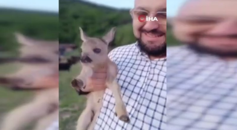 Sinop’ta 150’den fazla keçisini otlatmak için yaylaya giden çoban bir anda karşısında onu gördü. Yanlarına getirdiğinde 150 keçi bile ona merhametle baktı - Resim: 4