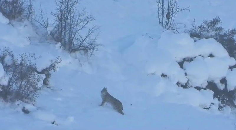 Erzurum'un profesyonel dağcı fotoğrafını çekti. Bir anda buz gibi soğukta karın arasında ortaya çıktı - Resim: 3