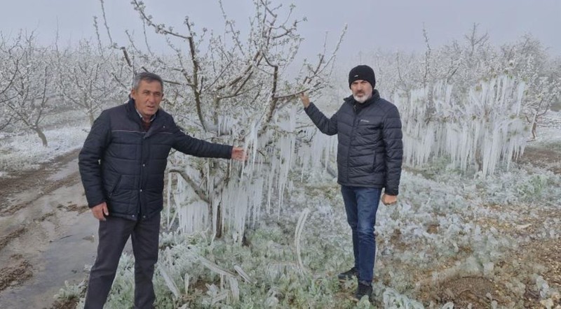 Karaman'da doğada tam 16.000.000 tanesini teker teker vurdu! Türkiye için resmen felaket haberi Karaman'dan geldi! Bir sabah kalkınca gördüler - Resim: 1