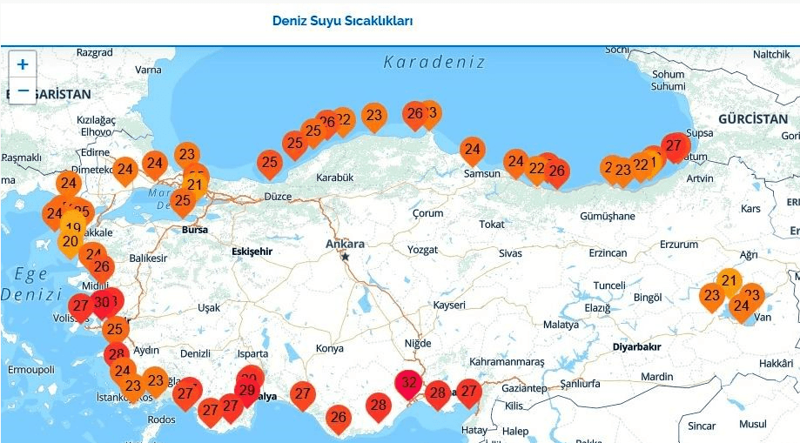 Türkiye'de doğanın kıyamet başladı... Duymak bile herkese zor gelecek ama bu bir gerçek... Fokur fokur kaynayarak ölecekler - Resim: 2