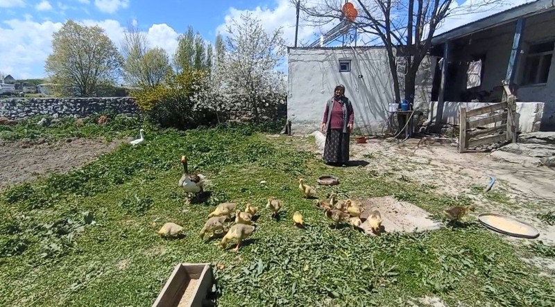 Kars'ta 10.000'lercesi var çok değerliydi ama şimdi o hayvan daha değerli hale geldi. Bir anda 4 bin 500'e fırladı - Resim: 3