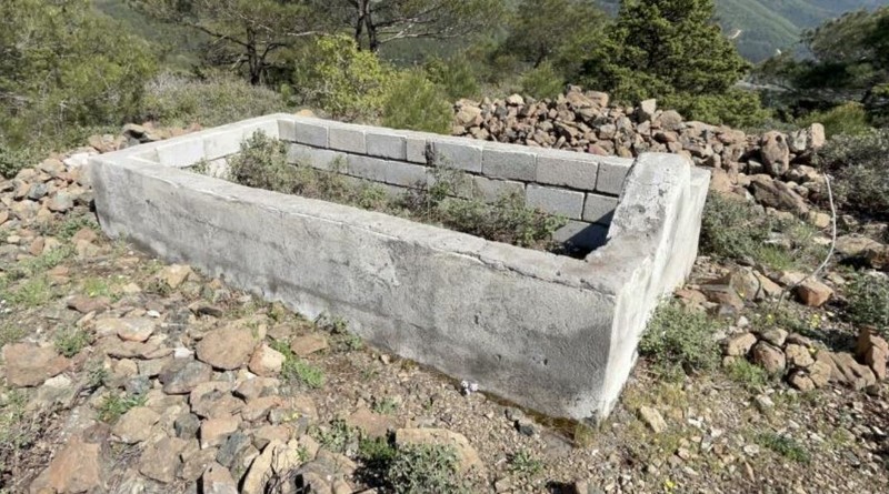 Hatay İskenderun'da doğada 1200 rakımlık mesafede tek 1 tane var... Etrafında 1 tane bile başka yok. 81 yıldır orada duruyor - Resim: 5