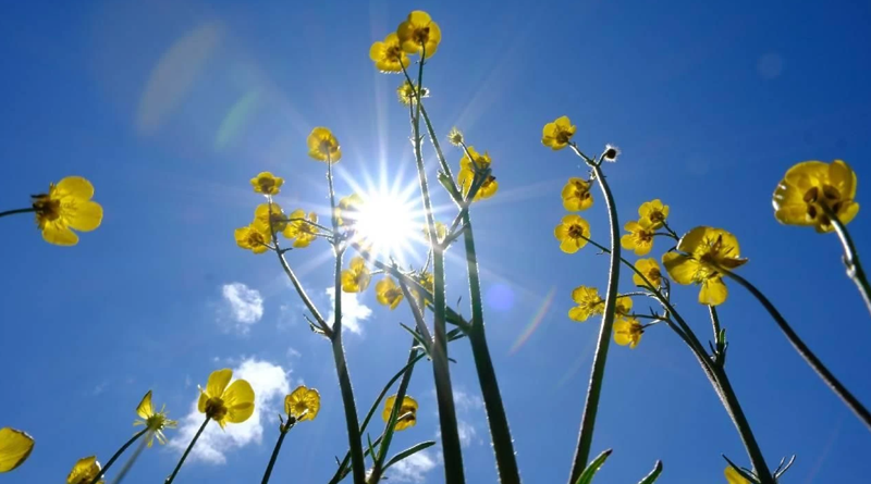 Meteoroloji'den müjde: Pastırma sıcakları geliyor! - Resim: 8