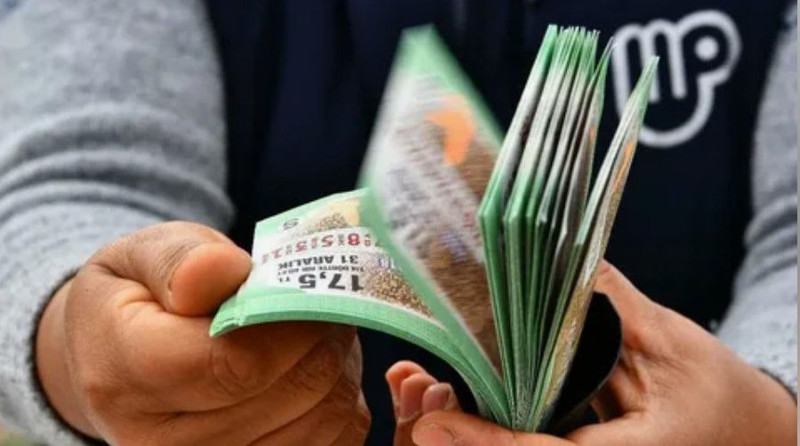 Milli Piyango 2024 Teselli ikramiyesi kimlere verilecek? Teselli ikramiyesi ne kadar, kaç TL? - Resim: 5