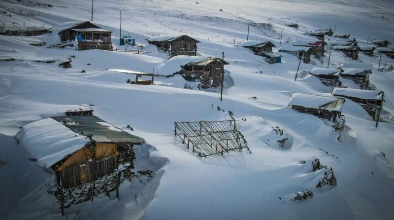 Artvin'de yüzde 57'si ormanla kaplı bölgeden gelen görüntü izleyen herkesi kendisine hayran bıraktı. 3 bin 251 hektarlık alana yayılıyor - Resim: 5