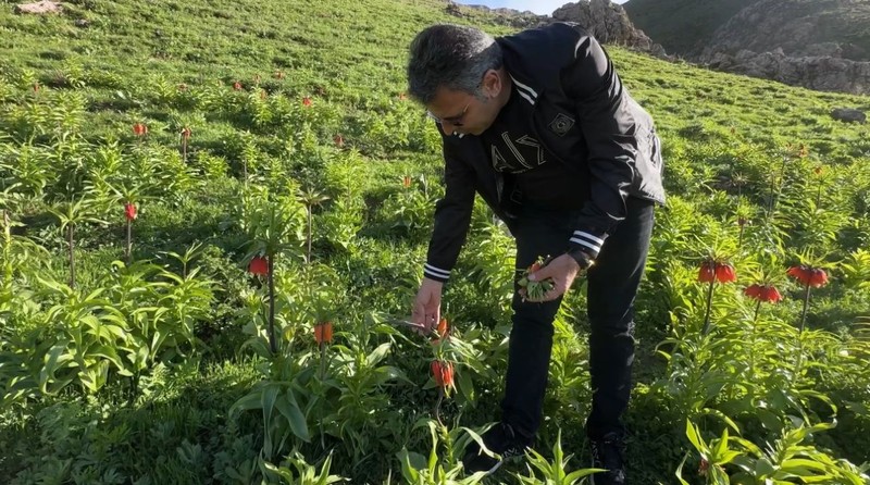 Hakkâri’de doğada sadece 20 kalıp sonra yok olacaktı. Hepsine tek tek dokundular. Dokunanlardan kişi başı 557 bin 212 alınacak - Resim: 5