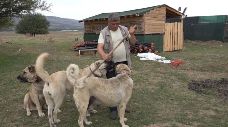 İtalya'dan Türkiye'ye gelen 10 kişilik ekip Eskişehir'de çiftlikte gördükleri manzarayla birlikte ağızları açık kaldı - Resim: 4