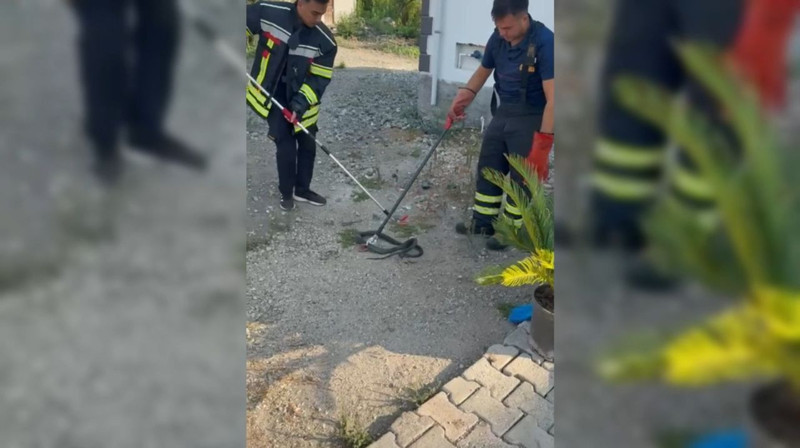 Osmaniye’de evin bahçesine girdi! Yakalandıktan sonra yapılan o hareket, görenleri hem şaşırttı hem duygulandırdı - Resim: 2