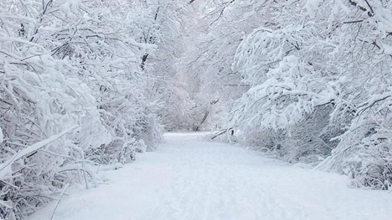 31 Ocak hava durumu! Meteoroloji’den 46 kente sarı kodlu uyarı! - Resim: 26