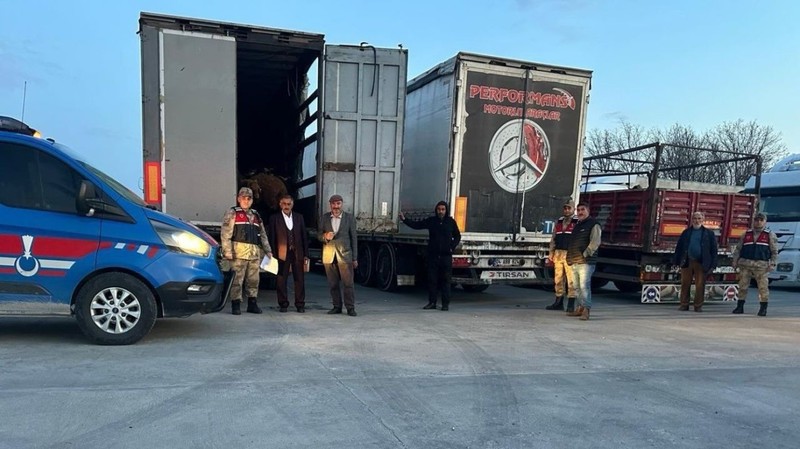 Ağrı’da 300 tane koyun bir anda ortadan yok olmuştu. Bitlis’te jandarma ekipleri 3 tane tırın kapısını açınca gördüğü manzara ile hemen harekete geçti - Resim: 2