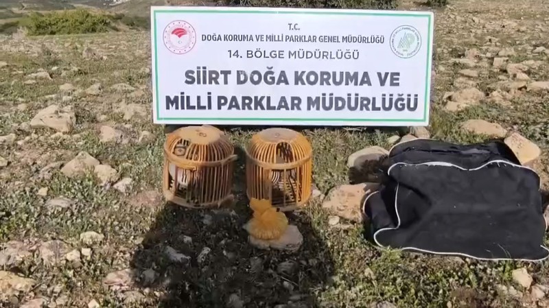 Siirt'te doğada dokunması yasak olan hayvandan 2 tanesine dokundu... Şimdi 63.000'i hazır etmek zorunda - Resim: 3