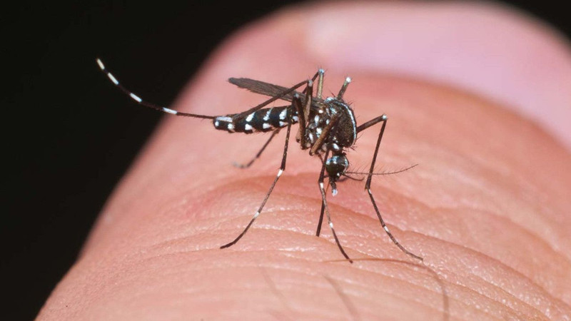 Avrupa geceleri uyuyamıyor... Sesi bile korkutucu... Mola verdi, şimdi daha enerjik Türkiye'ye doğru girecek. 4 belirtisi açıklandı - Resim: 2
