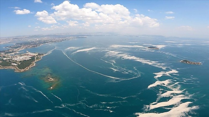 Kabus tüm hızıyla yayılıyor: 7 haftada Marmara'yı örümcek ağı gibi sardı, sırada Ege var! - Resim: 5