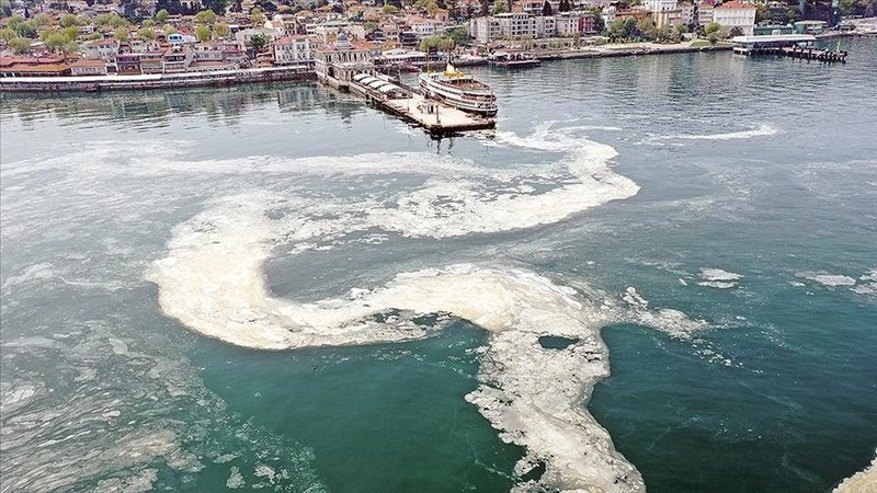 Kabus tüm hızıyla yayılıyor: 7 haftada Marmara'yı örümcek ağı gibi sardı, sırada Ege var! - Resim: 1