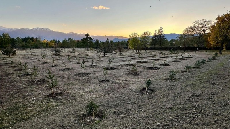 400.000 tanesi Erzincan'da toprakla buluştu - Resim: 1