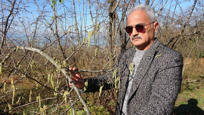 Ordu, Giresun, Samsun, Trabzon, Artvin her yeri ilgilendiriyor. Karadeniz Bölgesi'nden korkutan haber. Büyük tehlike var - Resim: 4