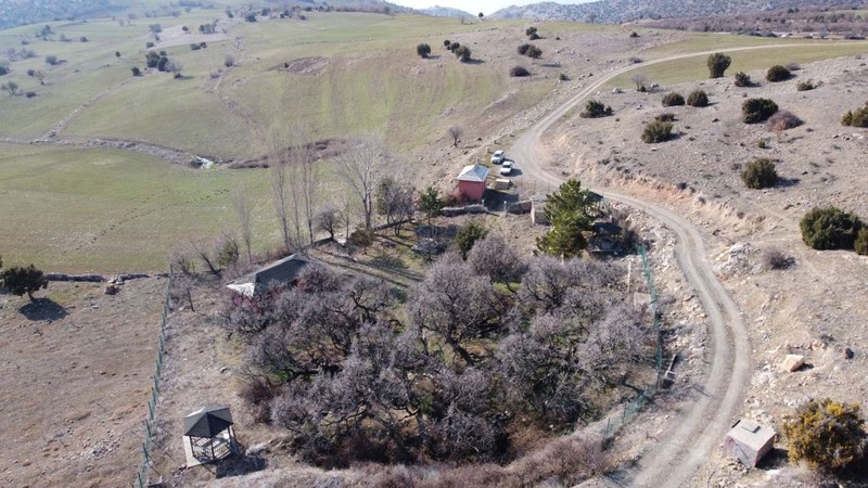 Yozgat'ta 2 bin 600 yıldan bu yana durmadan aynı işlemi yapıyor. Yanına gidenler iyice yaklaşınca şaşkınlığını gizleyemiyor - Resim: 4