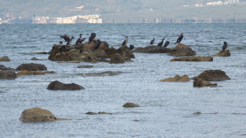 Balıkesir’de deniz çekildi, 2 bin 500 yıldır görülmeyen bölge yeniden ortaya çıktı - Resim: 4