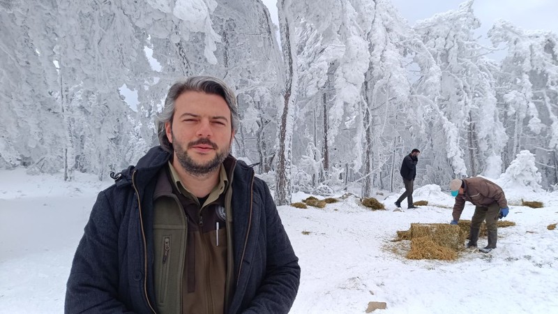 Manisa'da tamamen karla kaplanan milli parka giden ekipler, dondurucu soğuğa aldırmadı. Onların yaşama devam etmesi için harekete geçti - Resim: 1