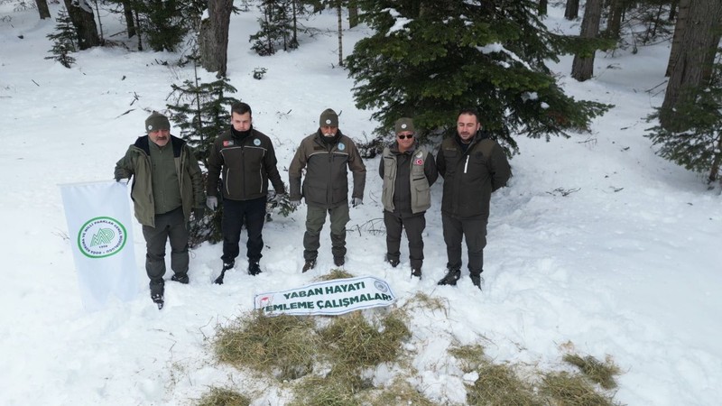 Kışın sert geçtiği Kastamonu'da bir araya gelen ekiplerden yaban hayatına destek! Soluğu karla kaplı bölgede aldılar - Resim: 3