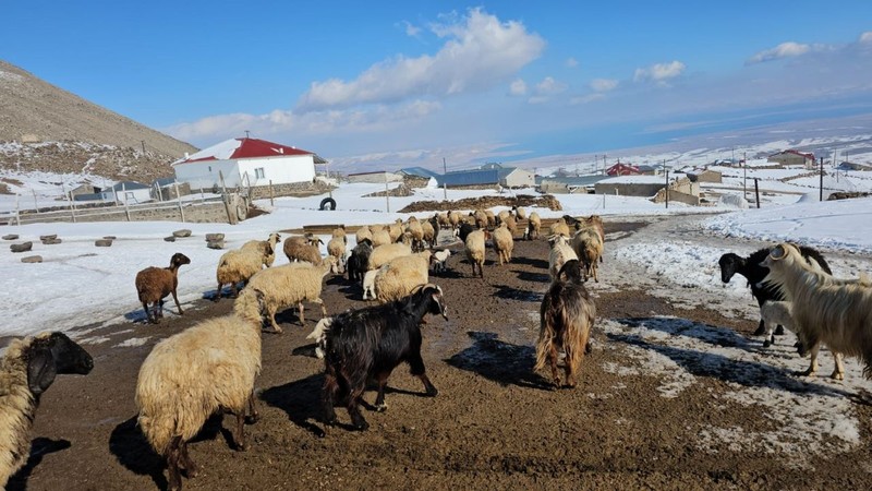 Bitlis'te sınırları içerisinde yer alan Türkiye'nin en yüksek rakımlı köyü havadan çekildi. Görenleri kendisine hayran bıraktı - Resim: 6