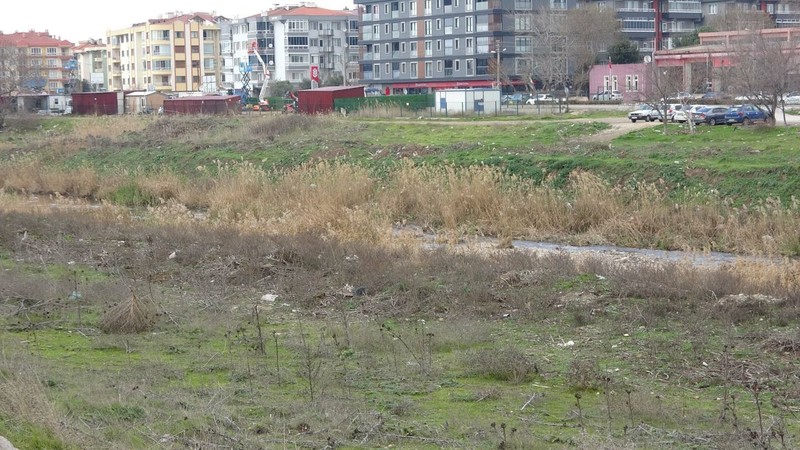 Araştırmacılar Türkiye ve Avrupa'nın gözde hayvanı için acil olarak bir araya geldi. 9 ülke toplandı. Hayvanın sayısında 45 yılda korkunç düşüş - Resim: 2