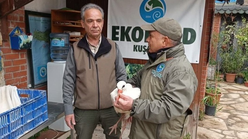 Her yıl mart ayında soluğu Aydın'da alıyordu. Ocak ayında gelince soğuk havaya dayanamadı, evin bahçesine sığındı - Resim: 3