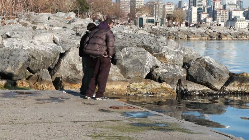 Moda Sahili'nde korkunç manzara! 150 milyon yıllık canlılar istila etti,  Marmara Denizi alarm verdi. Denizin bedava işçilerini yok ediyorlar - Resim: 5