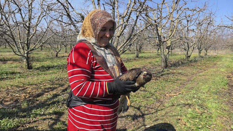 Bursa'da meyve bahçesinde çalışan mevsimlik işçiler yaralı halde buldu. Tedavi edilmek üzere yetkililere teslim edildi - Resim: 2