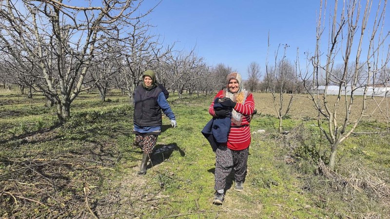 Bursa'da meyve bahçesinde çalışan mevsimlik işçiler yaralı halde buldu. Tedavi edilmek üzere yetkililere teslim edildi - Resim: 1