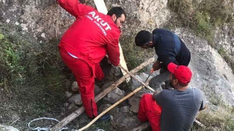 Manisa'da dağlık alanda 1  tane  keçiyi gören vatandaşlar bir daha keçiye doğru bakınca gözlerine inanamadı. Bölgeye acilen ekipler davet edildi - Resim: 3