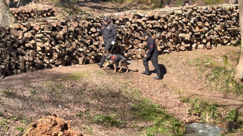 3 günden bu yana Belgrad Ormanı'ndan her yerde aranan Ece Gürel'in akrabası konuştu! Verdiği detay korkunç - Resim: 2