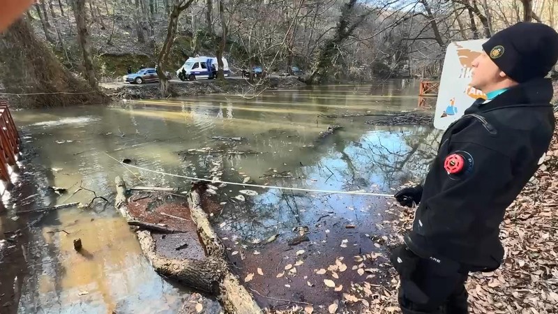 3 günden bu yana Belgrad Ormanı'ndan her yerde aranan Ece Gürel'in akrabası konuştu! Verdiği detay korkunç - Resim: 5