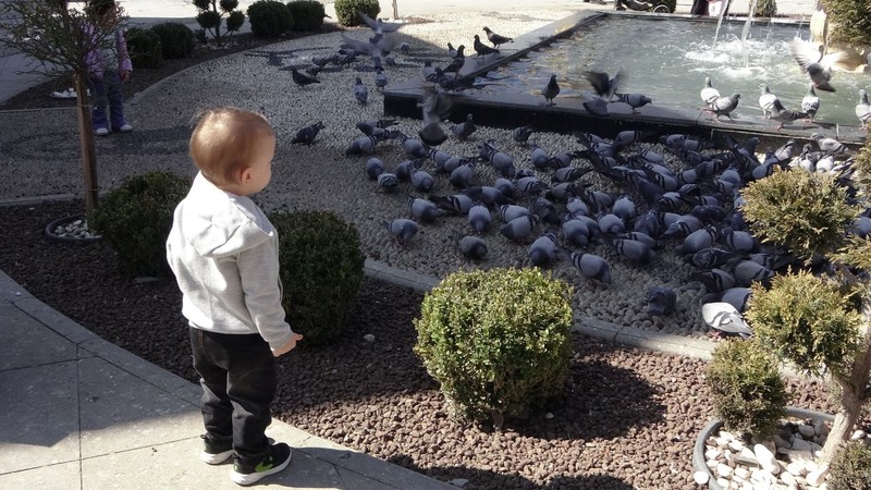 Çorum'da hava sıcaklığı 19 dereceye yükseldi. Yaz mevsimini aratmayan kentte vatandaşlar soluğu dışarıda aldı - Resim: 5