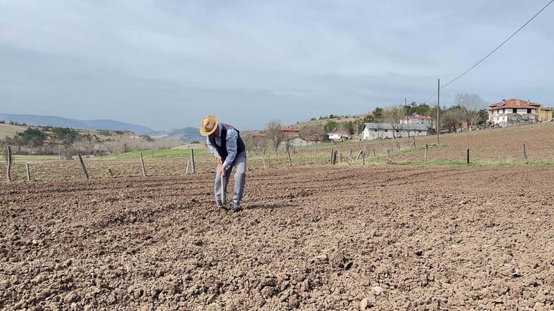 Kastamonu'da yaşına aldırış etmeyen 77 yaşındaki çiftçi, her yıl yaklaşık 15 dönüm coğrafi işaretli ürünü tarlasına ekiyor - Resim: 3