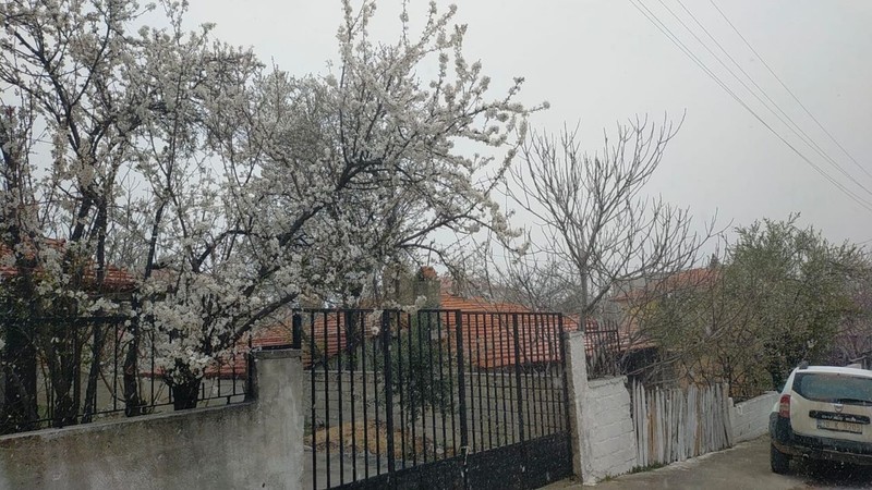 Denizli'de 68 yıl sonra Türkiye için korkunç olay! 2'si aynı anda yaşandı. Türkiye'ye hayra alamet değil - Resim: 4