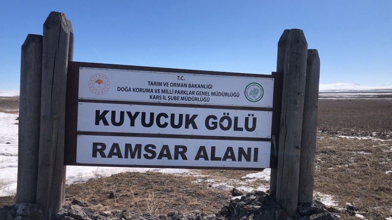 Kars'ın önemli doğal alanlarından biri! Her yıl 1000'lerce hayvan geliyordu! Bu kez geldiklerinde gözlerine inanamayacaklar - Resim: 1