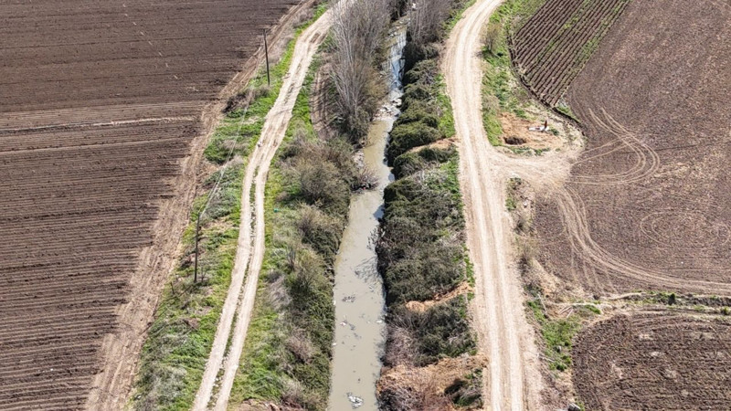 Adana'da 100'lerce telef olmuş hayvan doğada tek bir yerde dolu dolu görüldü! Bölgeye giden vatandaşlar korkunç manzara ile karşılaştı - Resim: 5