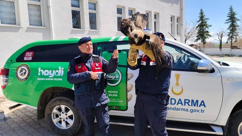 Yozgat’ta jandarma ekipleri devriye gezdiği sırada buldu. Yanına yaklaşınca ne olduğunu anladılar - Resim: 2